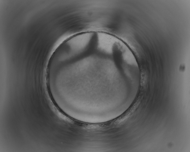 X0000102041094200808081829