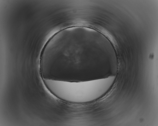 X0000102041095200808081829