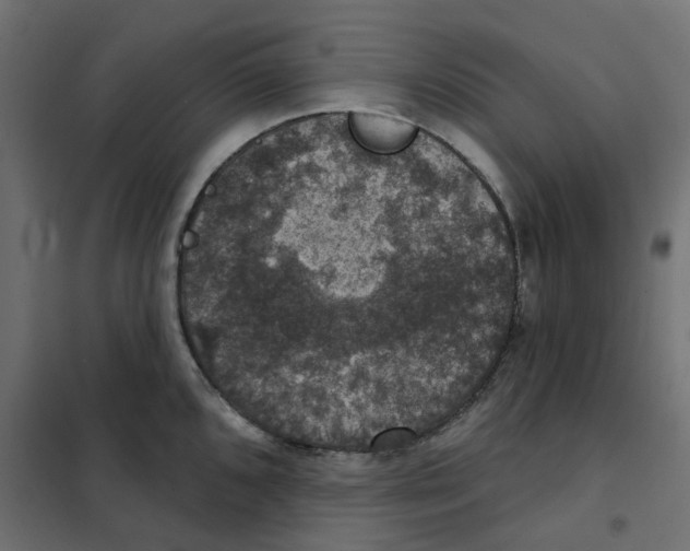 X0000102041096200808081829