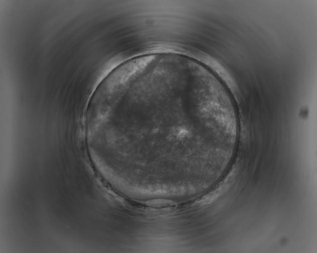 X0000102041097200808081829