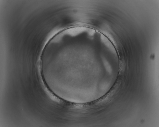 X0000102041098200808081829