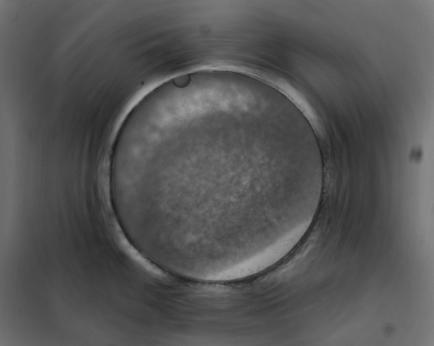 X0000102041100200808081829