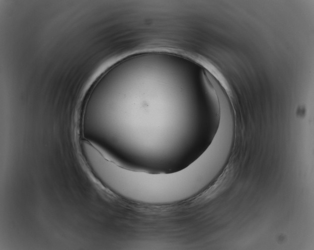 X0000102041101200808081829