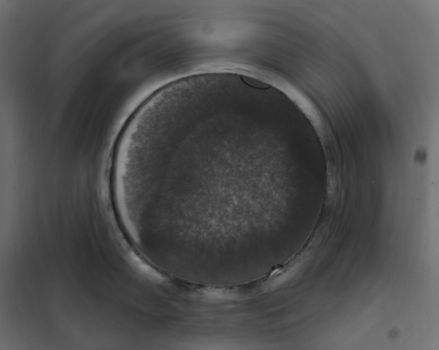 X0000102041102200808081829