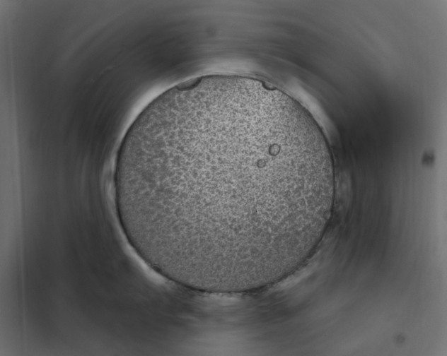 X0000102041103200808081829