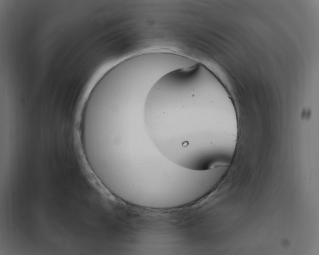 X0000102041104200808081829