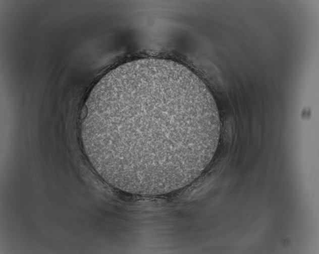 X0000102041105200808081828