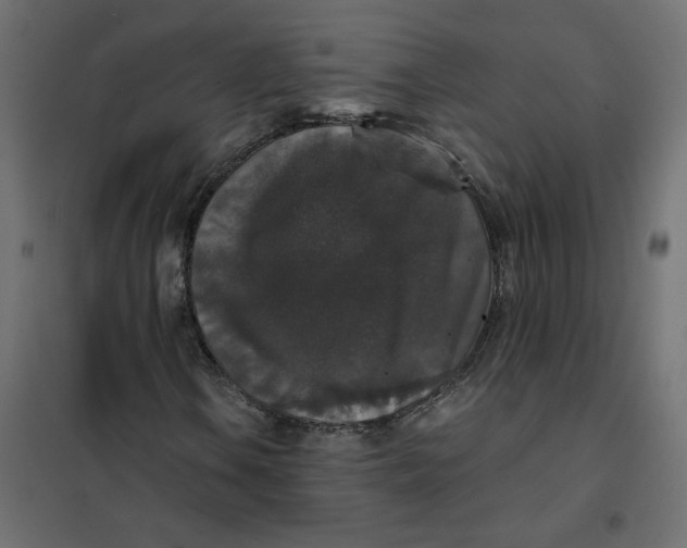 X0000102041106200808081828