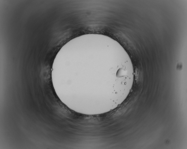 X0000102041107200808081828