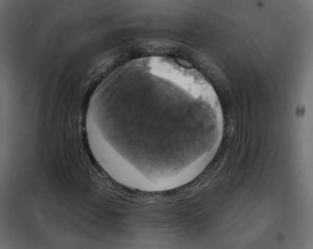 X0000102041108200808081828