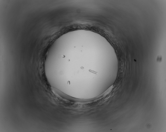 X0000102041109200808081828