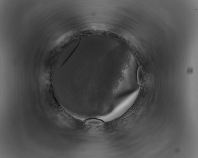 X0000102041110200808081828