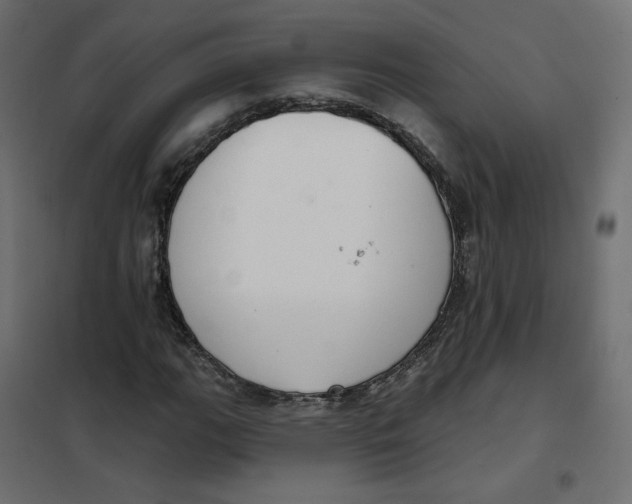 X0000102041111200808081828