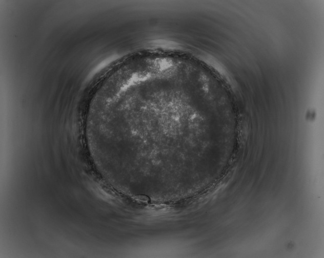 X0000102041112200808081828