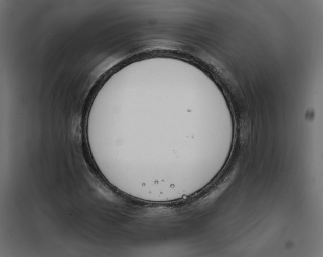 X0000102041113200808081828