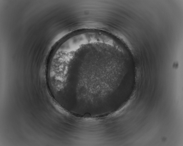 X0000102041114200808081828