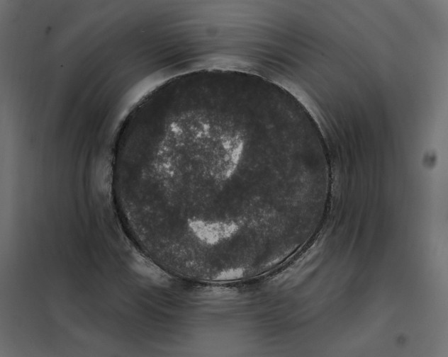 X0000102041115200808081828