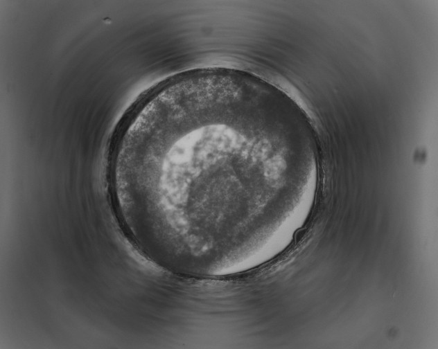 X0000102041116200808081828