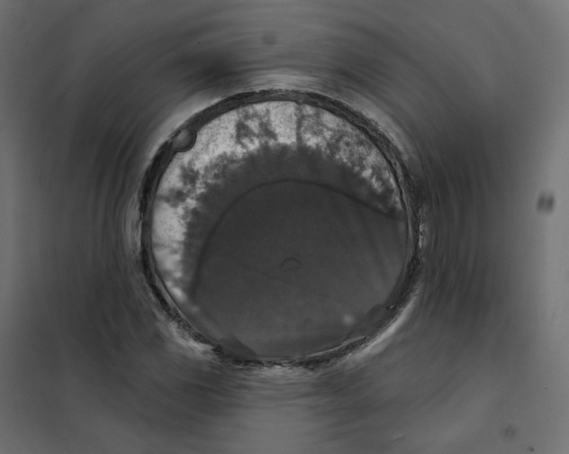 X0000102041117200808081828