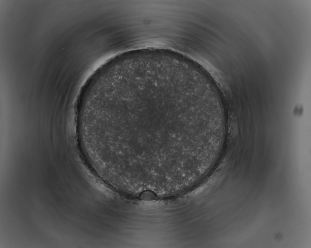 X0000102041118200808081828