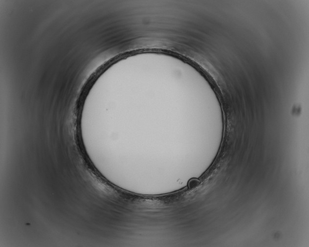 X0000102041119200808081828