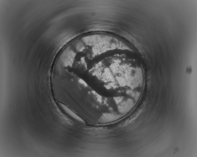 X0000102041121200808081828