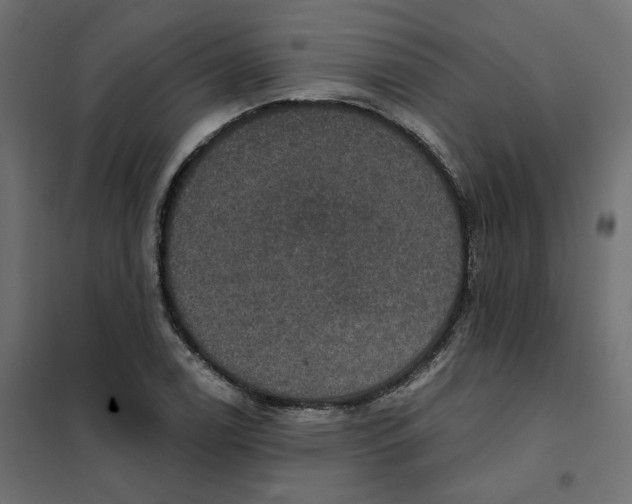 X0000102041122200808081828