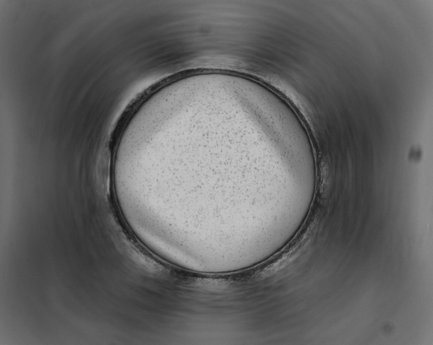 X0000102041123200808081828