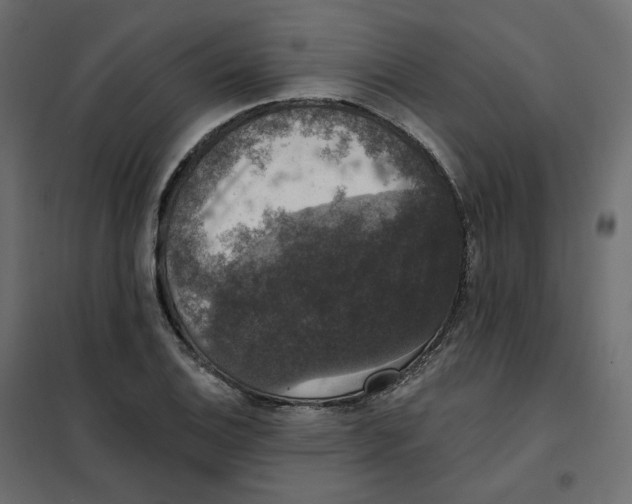 X0000102041124200808081828