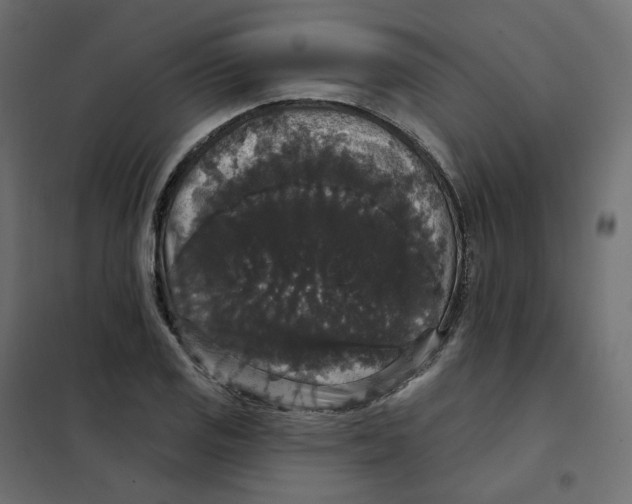 X0000102041125200808081828