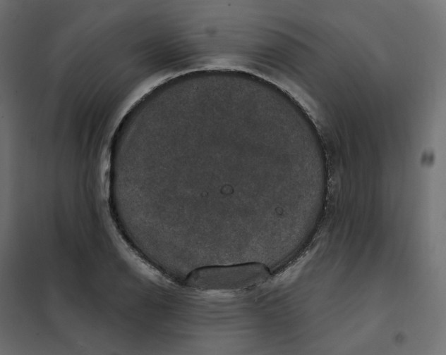 X0000102041126200808081828