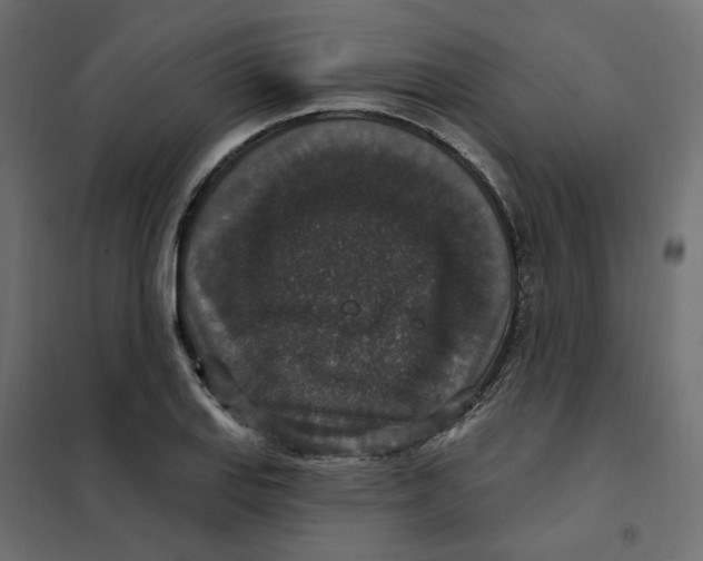 X0000102041127200808081829