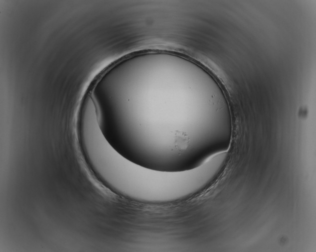 X0000102041128200808081829