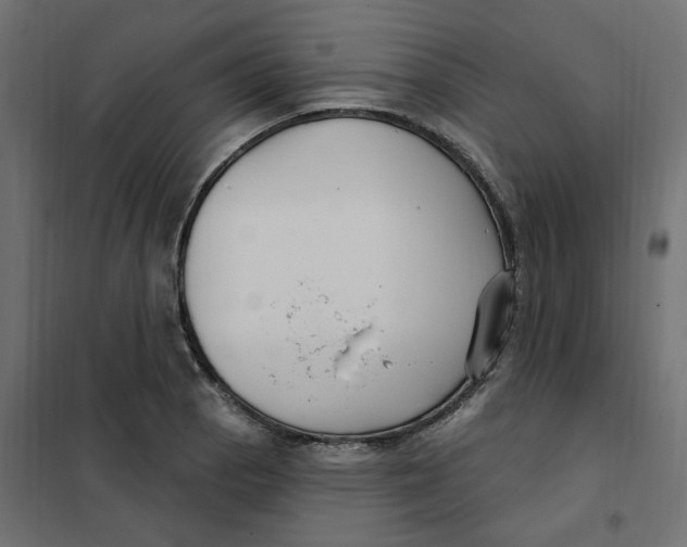 X0000102041129200808081829