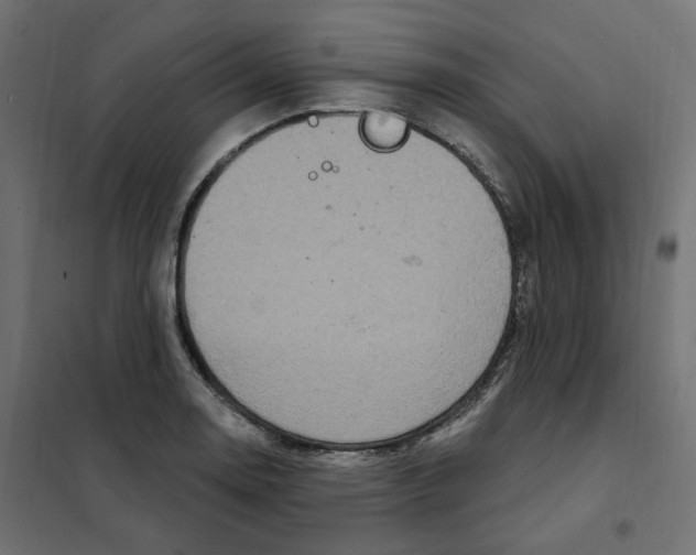 X0000102041130200808081829