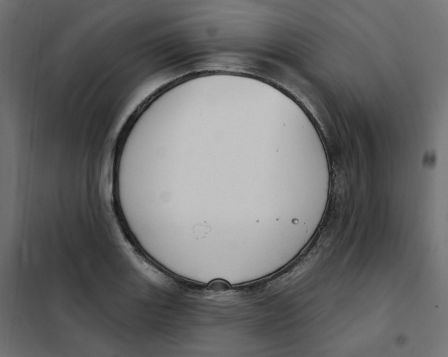 X0000102041131200808081829