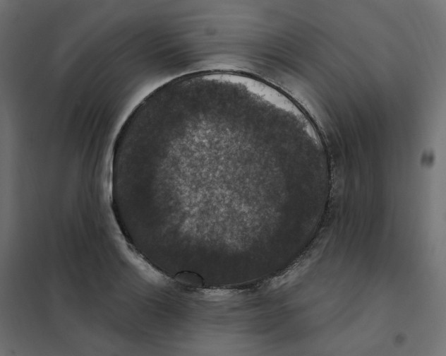 X0000102041132200808081829