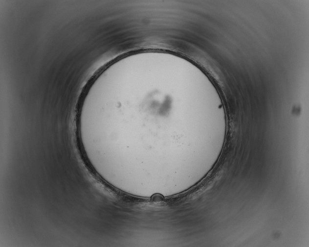 X0000102041133200808081829