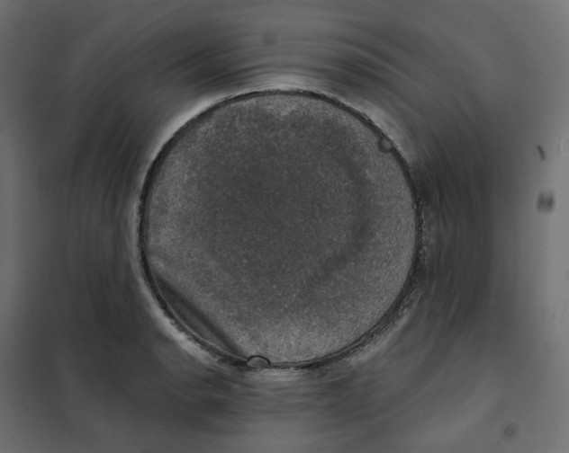 X0000102041134200808081829