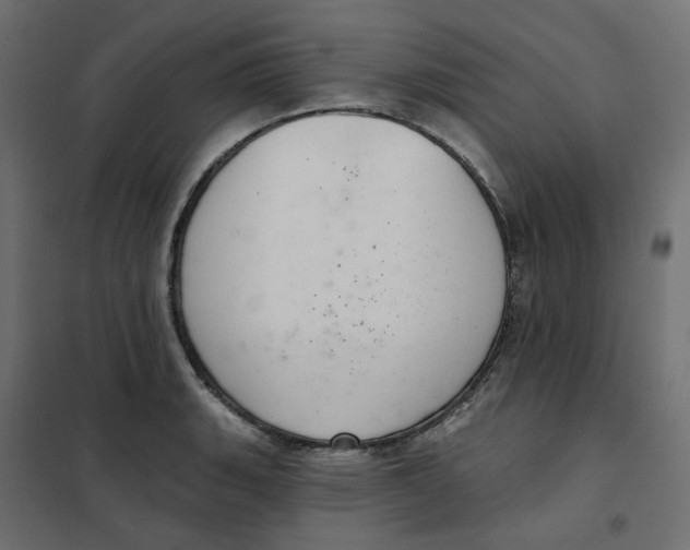 X0000102041135200808081829