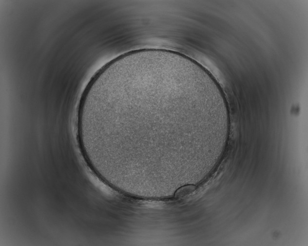 X0000102041136200808081829