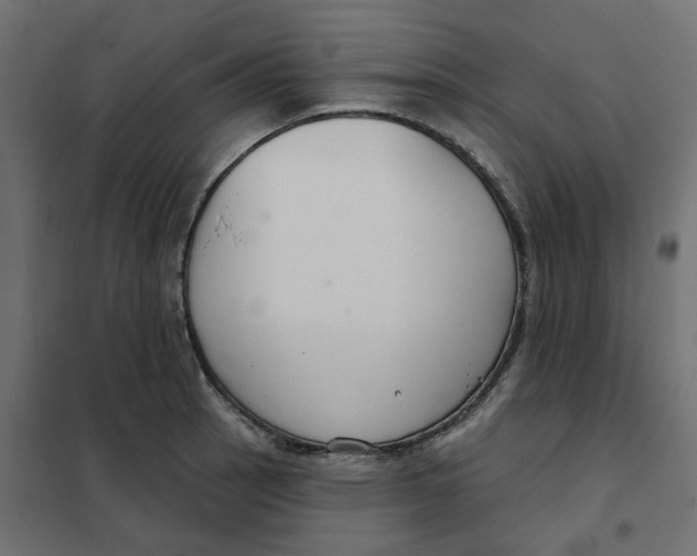 X0000102041137200808081829