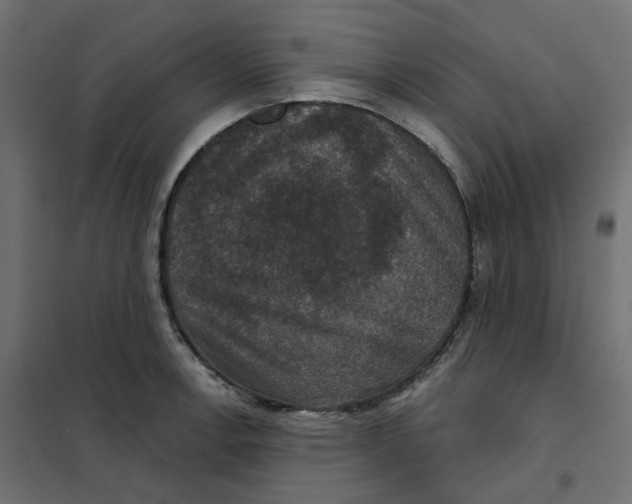 X0000102041138200808081829