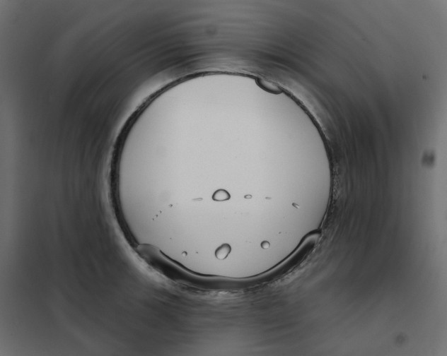 X0000102041139200808081829