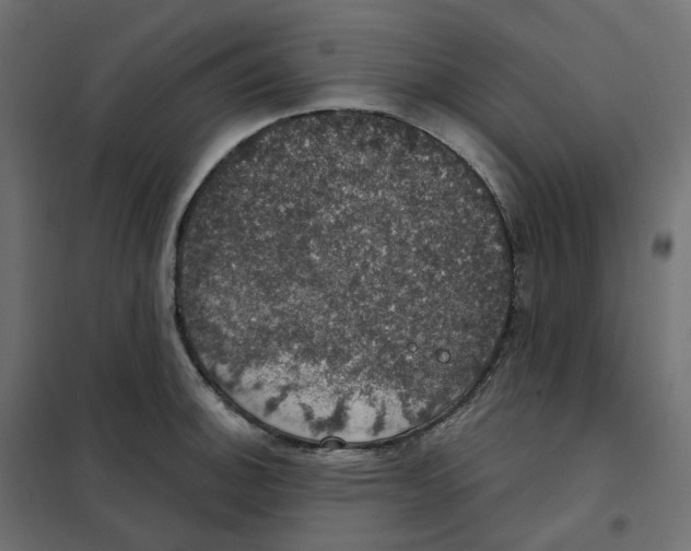 X0000102041140200808081829