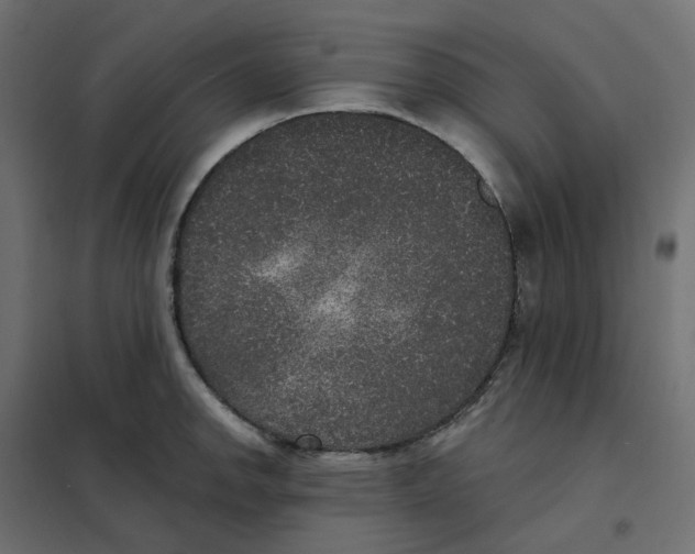 X0000102041142200808081829