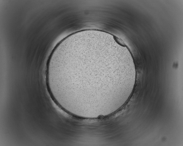 X0000102041143200808081829