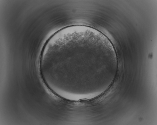 X0000102041144200808081829