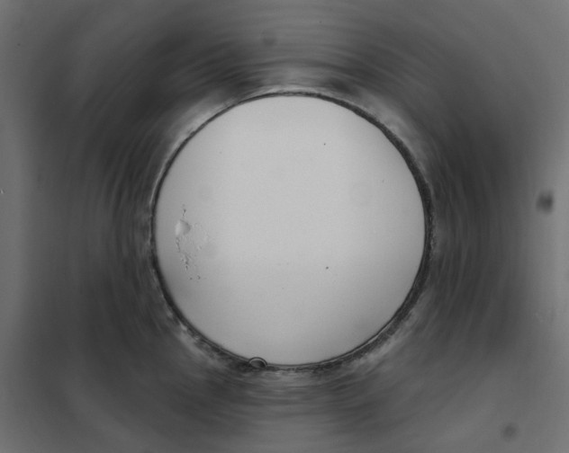 X0000102041145200808081829