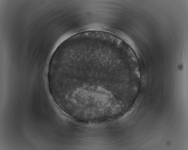 X0000102041146200808081829